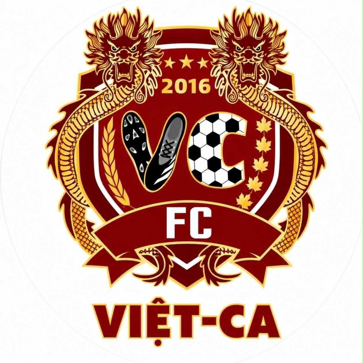 Logo VIET-CA